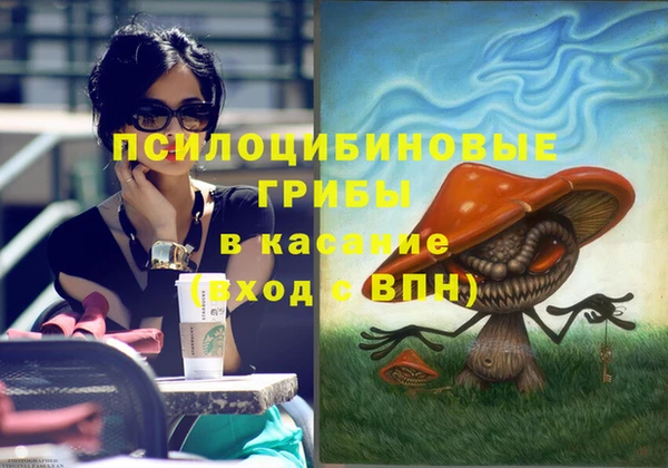 мет Алексин