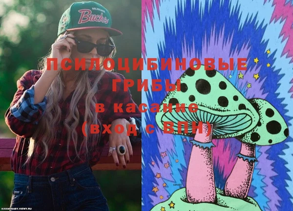 мет Алексин