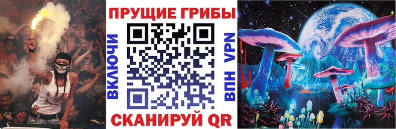 Галлюциногенные грибы Psilocybine cubensis  закладка  Лесной 